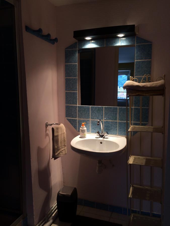 Au Detour Du Larrech Bed & Breakfast Castillon-en-Couserans Dış mekan fotoğraf
